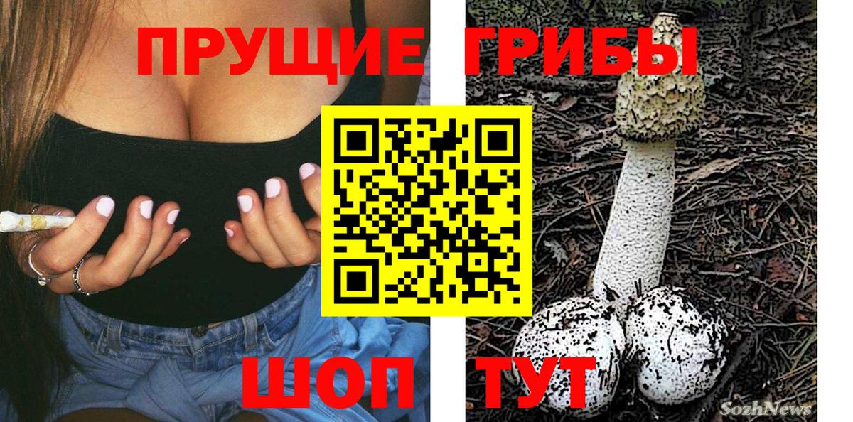 Галлюциногенные грибы Psilocybe Геленджик